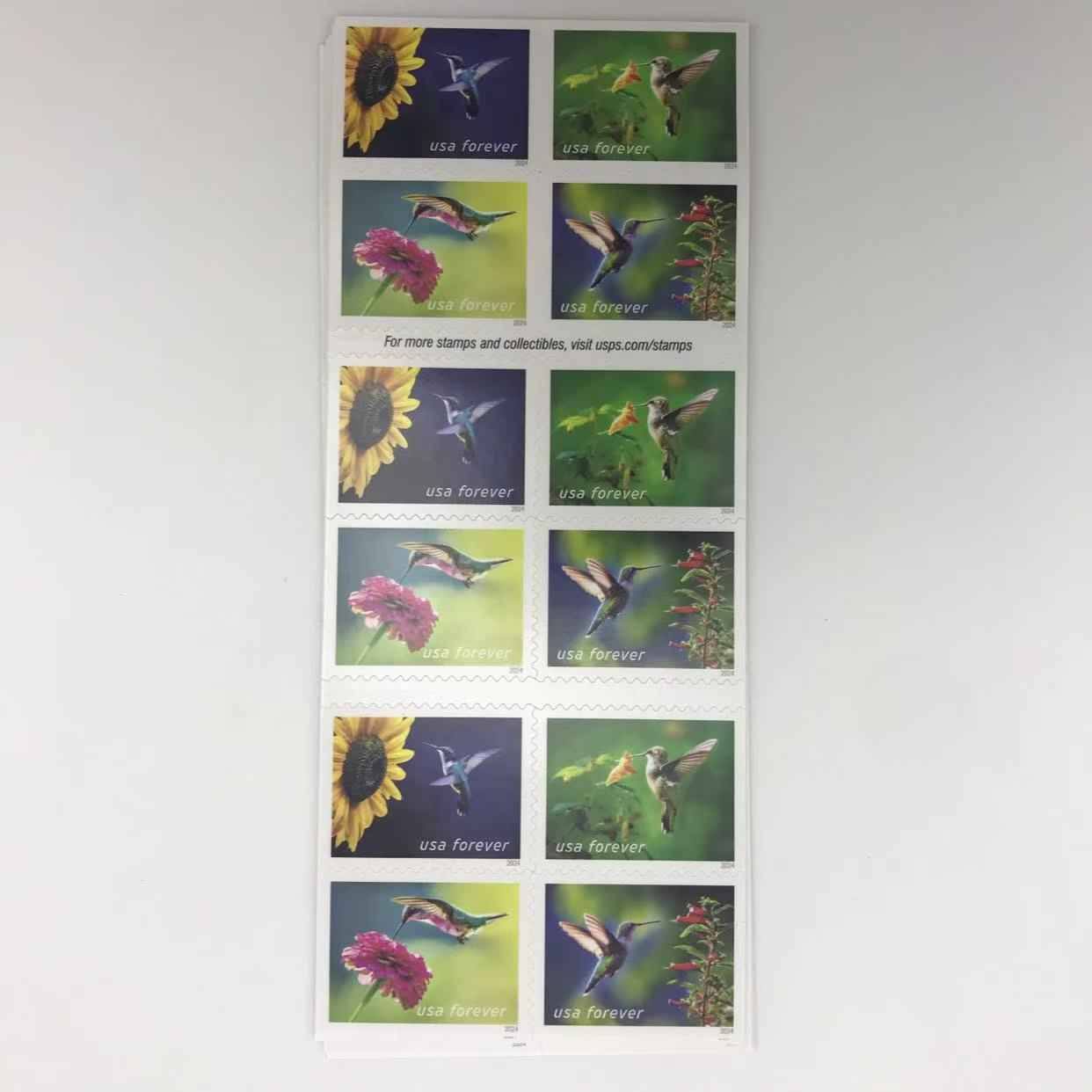 2024 Garden Delights Stamps Forever Stamps